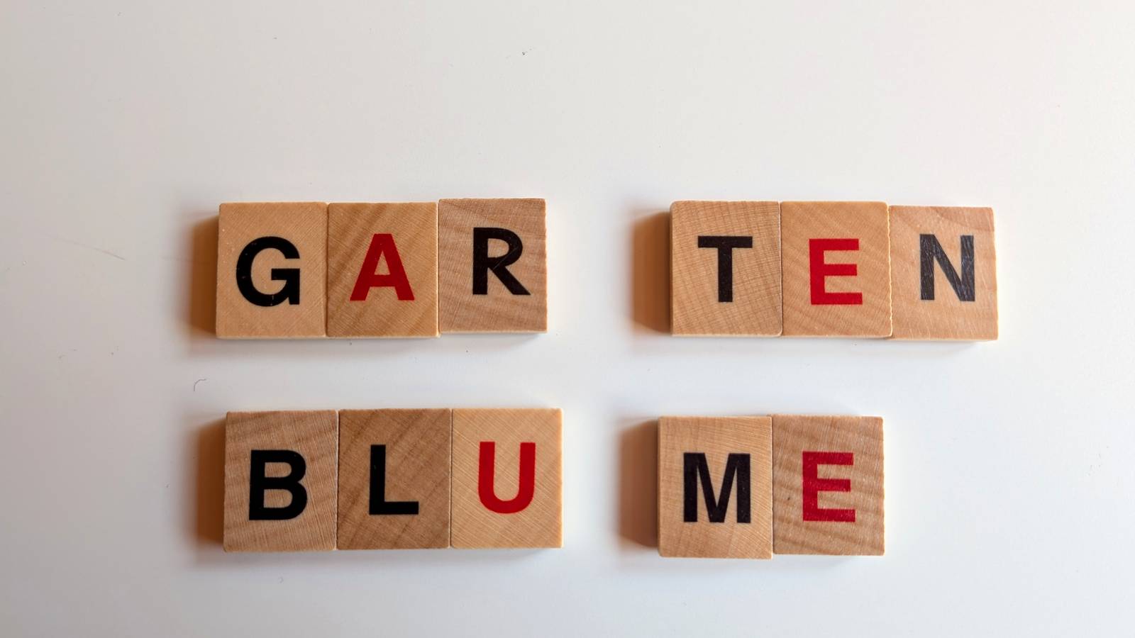 Aus Buchstabenwürfeln gelegt: GARTEN und BLUME