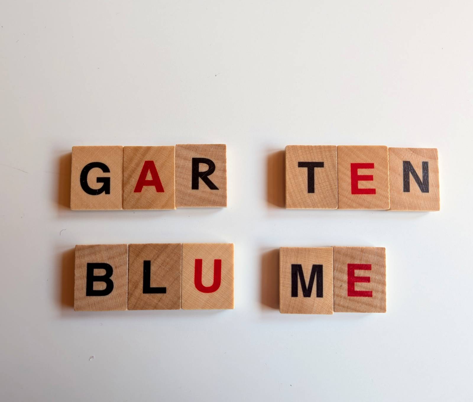 Aus Holzwürfeln gelegt: GARTEN und BLUME